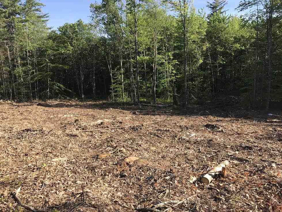 Lot 24-1 Middle Route Gilmanton, NH 03237 - Photo 3 of 4