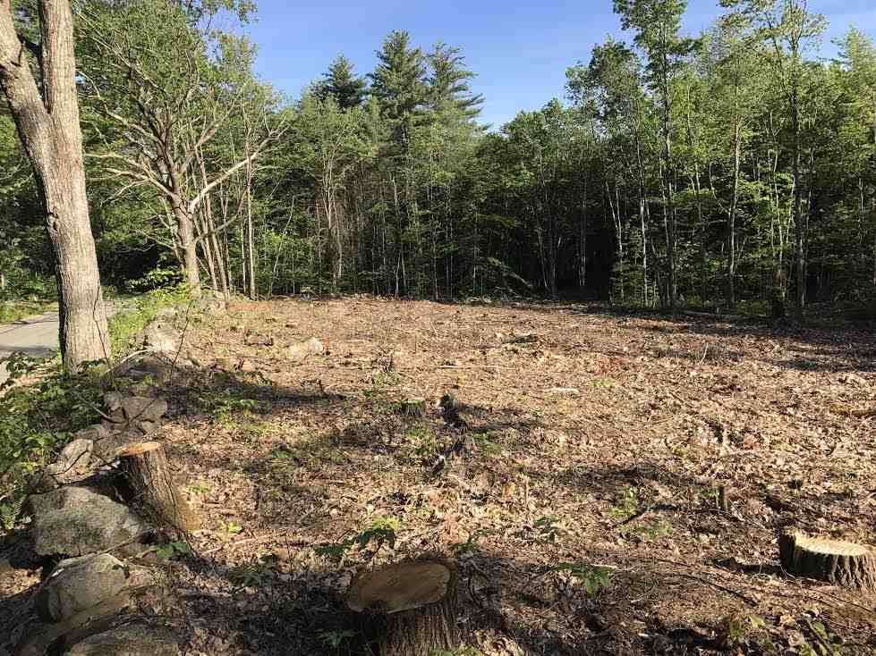 Lot 24-1 Middle Route Gilmanton, NH 03237 - Photo 4 of 4