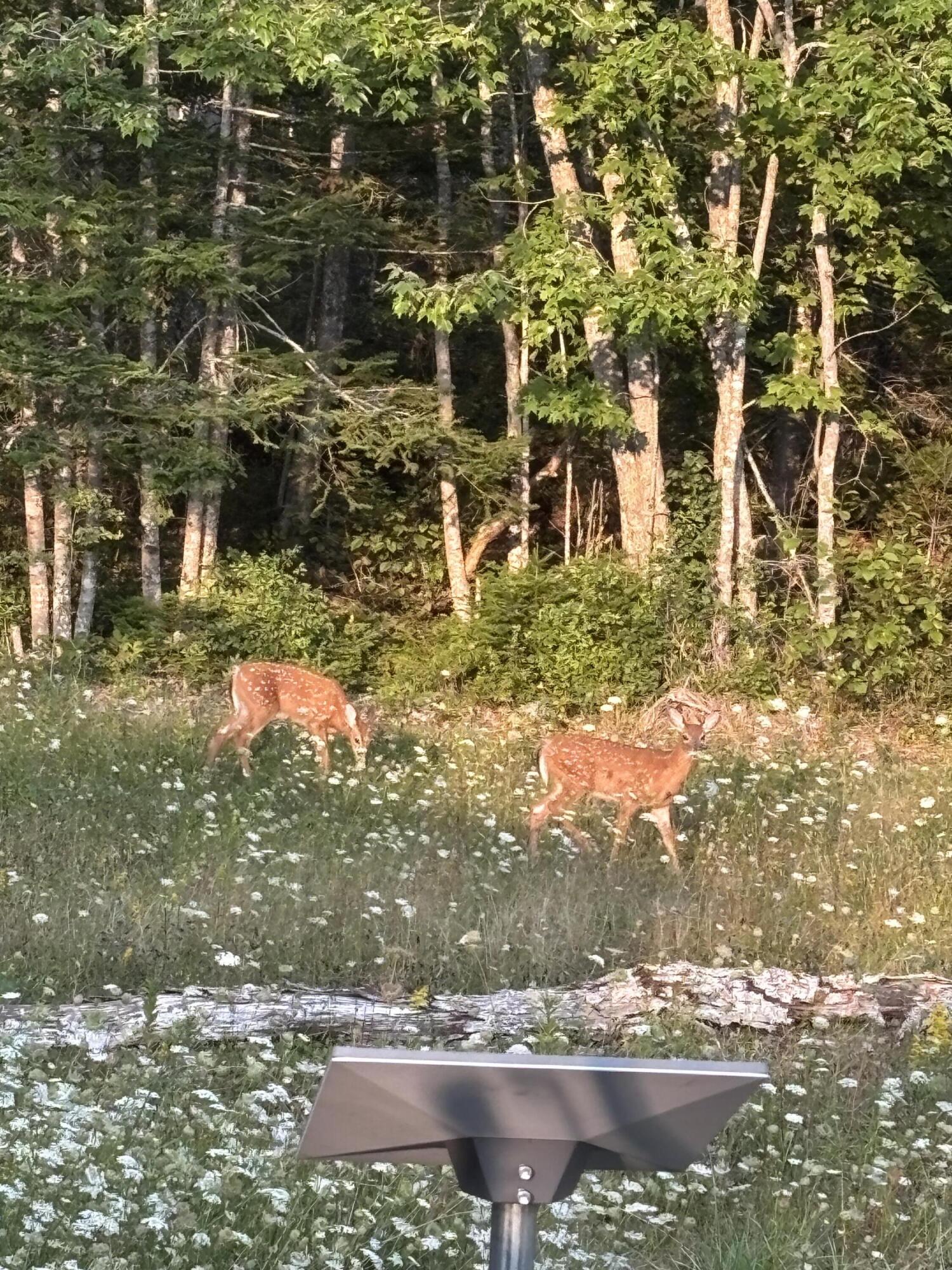 780 East Side Road Addison, ME 04606 - Photo 42 of 47