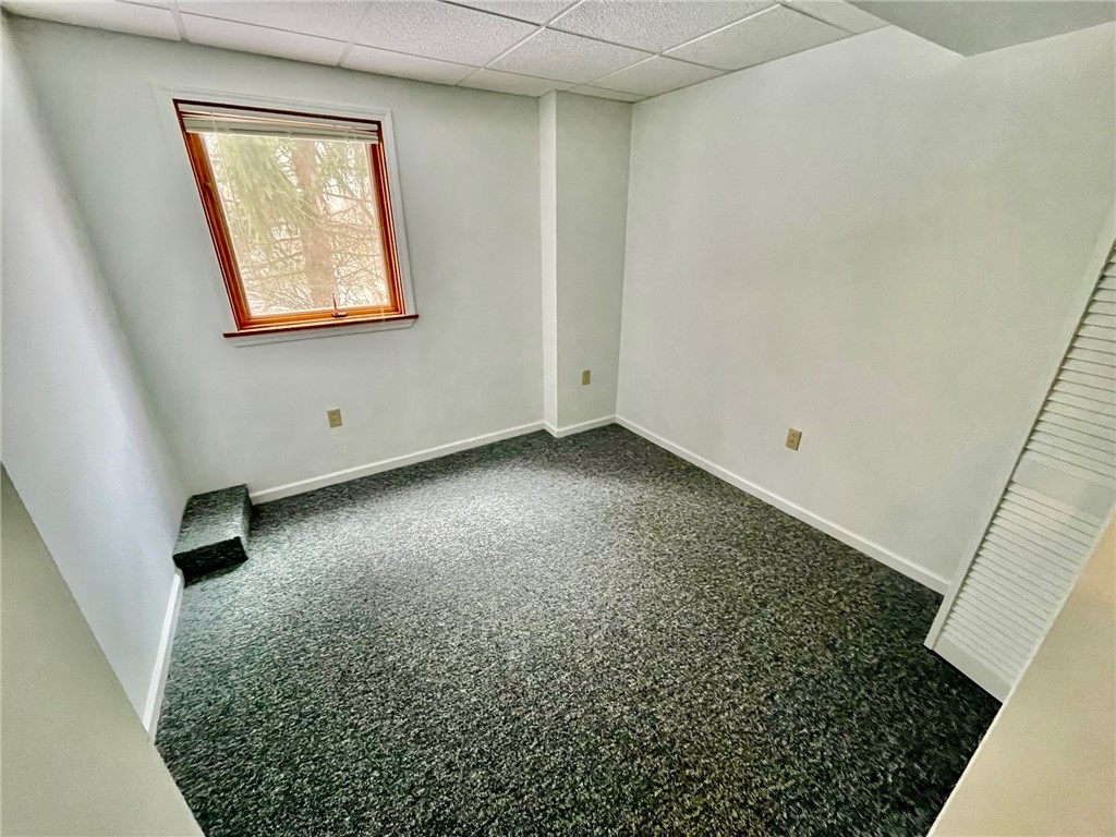 48 Colonial Circle Perinton, NY 14450 - Photo 39 of 50 Lower Possible Bedroom or Office