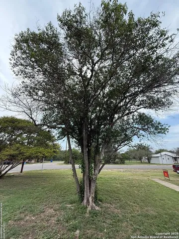 a view of outdoor space and yard