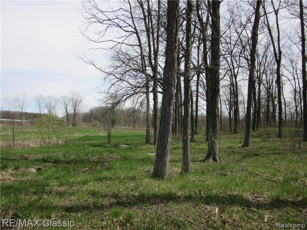 5 Foldenauer Drive Howell, MI 48843 - Photo 2 of 8