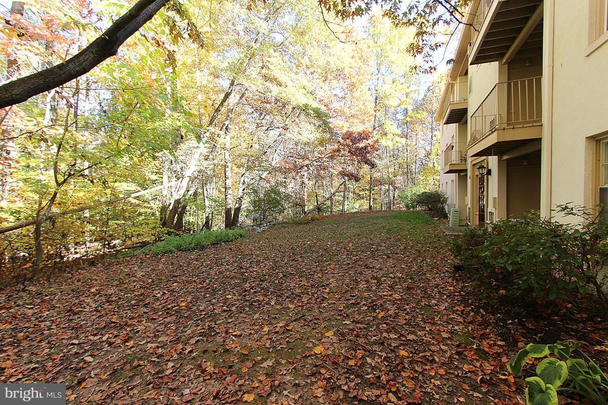5901 D Kingsford Road, Unit 438 Springfield, VA 22152 - Photo 30 of 30 Exterior (Rear)