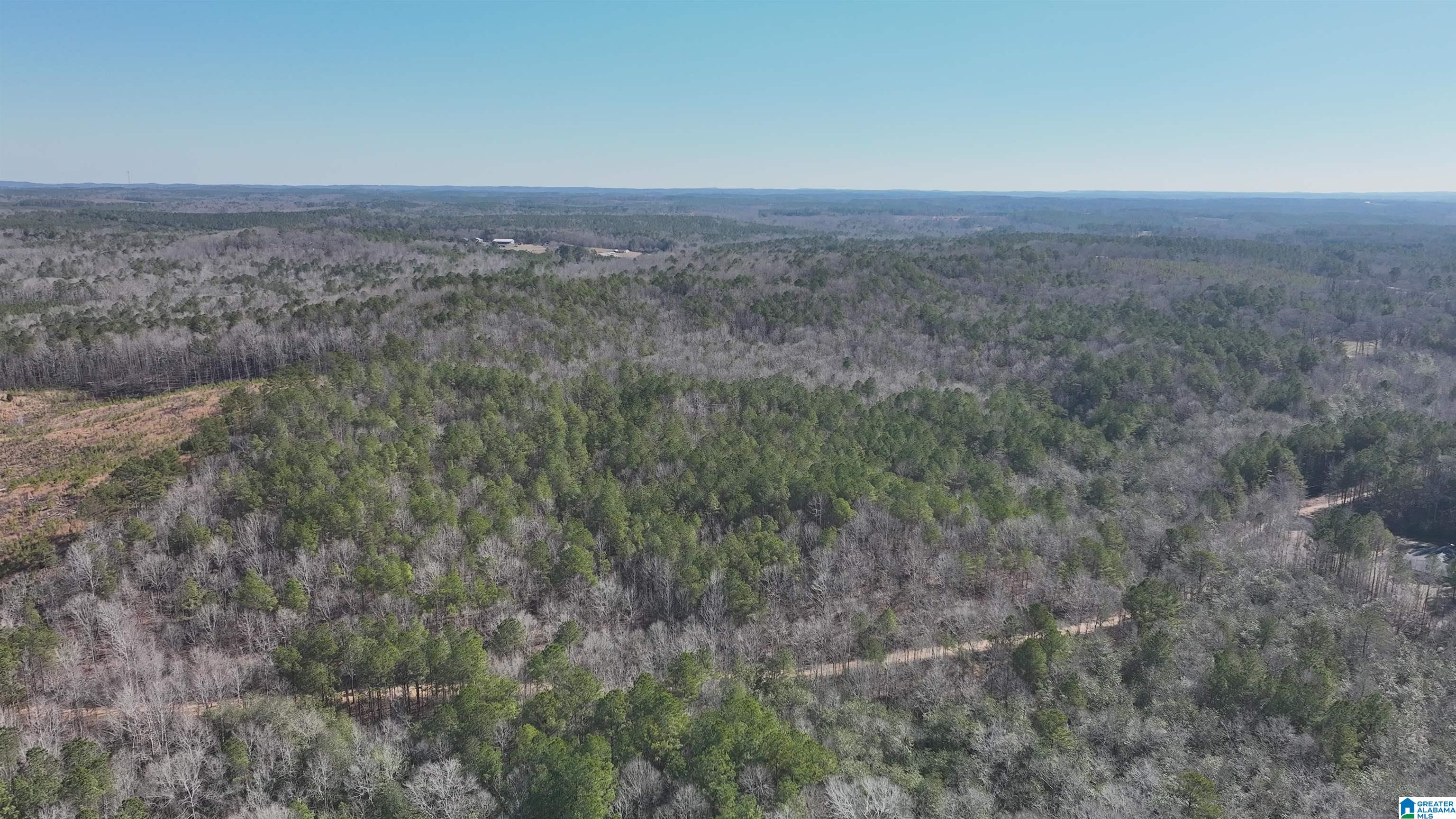 6171 Highway 102, Unit 1 Fayette, AL 35555 - Photo 40 of 68