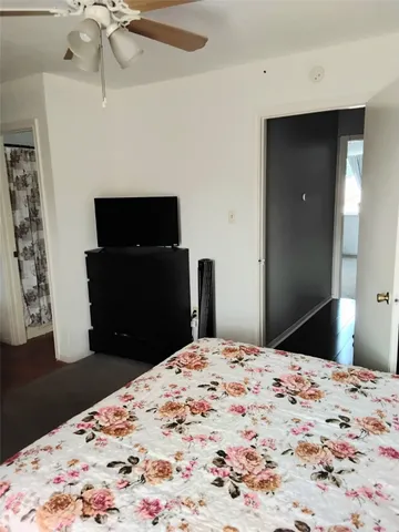 a small garden covered with tall trees