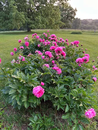 $1,775,000 | 2542 County Rd P Road, Verona, WI 53593