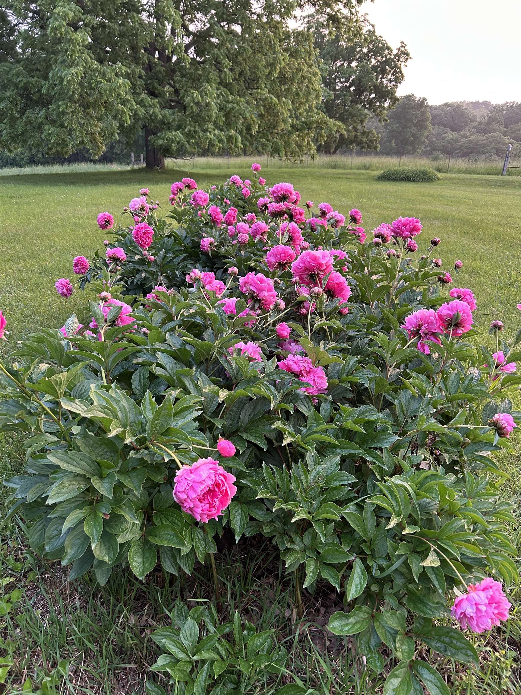 2542 County Rd P Road Verona, WI 53593 - Photo 101 of 103