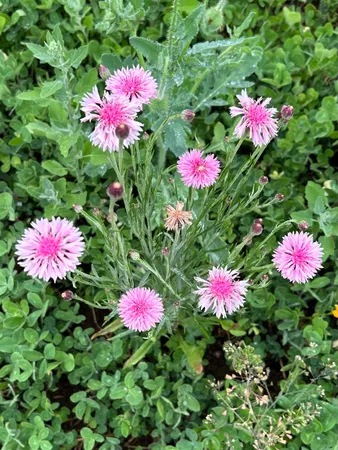 $1,775,000 | 2542 County Rd P Road, Verona, WI 53593