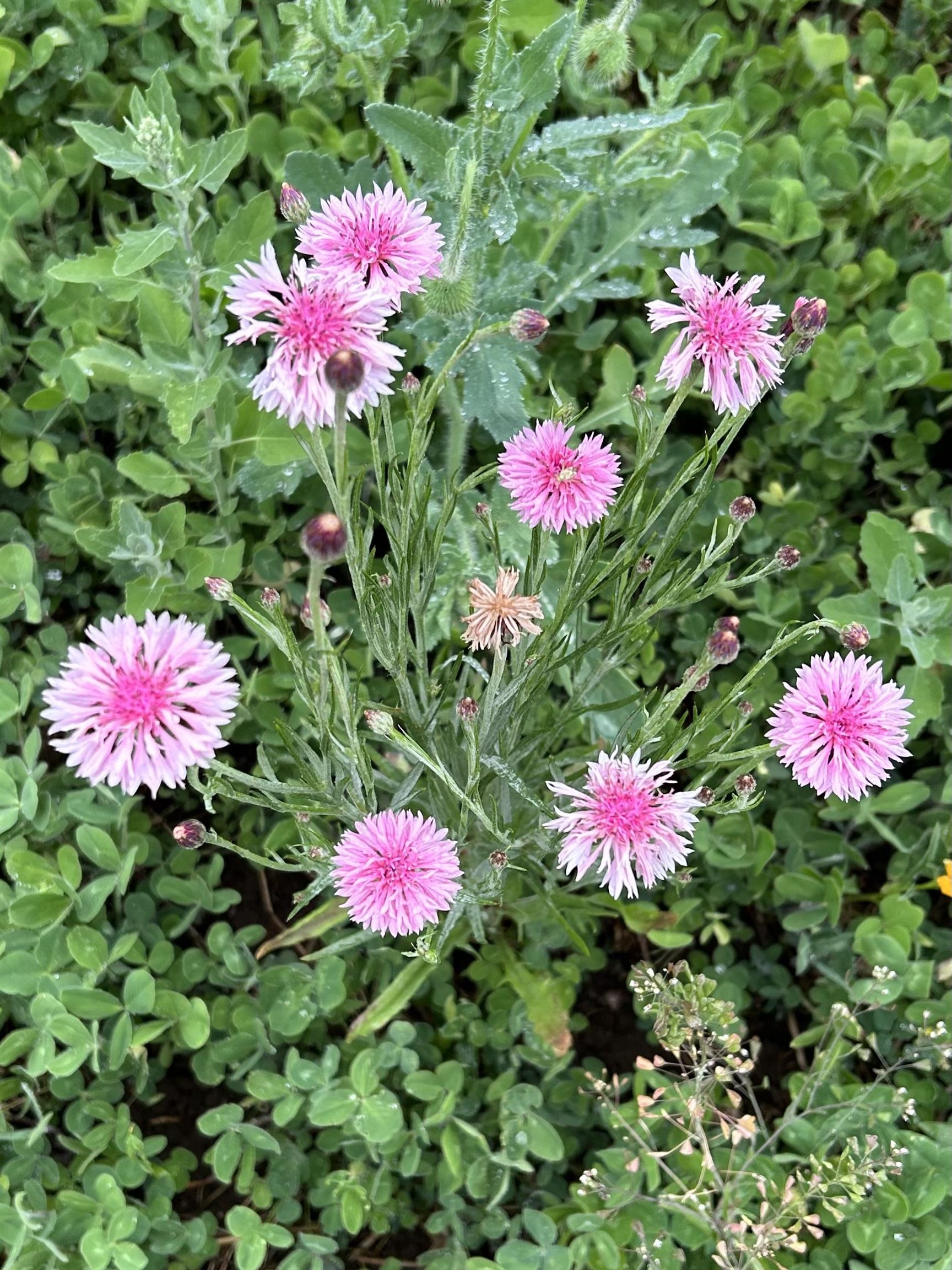 2542 County Rd P Road Verona, WI 53593 - Photo 103 of 103