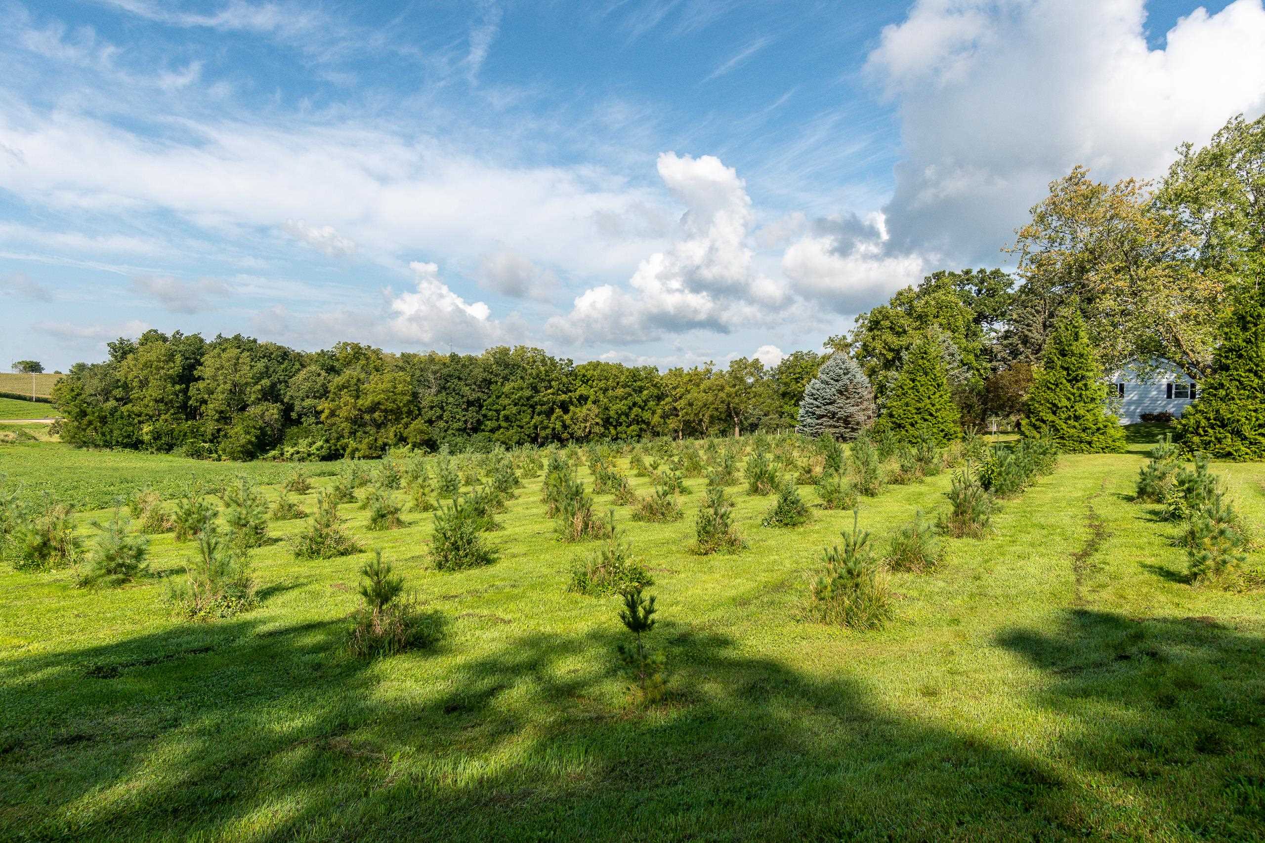 2542 County Rd P Road Verona, WI 53593 - Photo 15 of 103