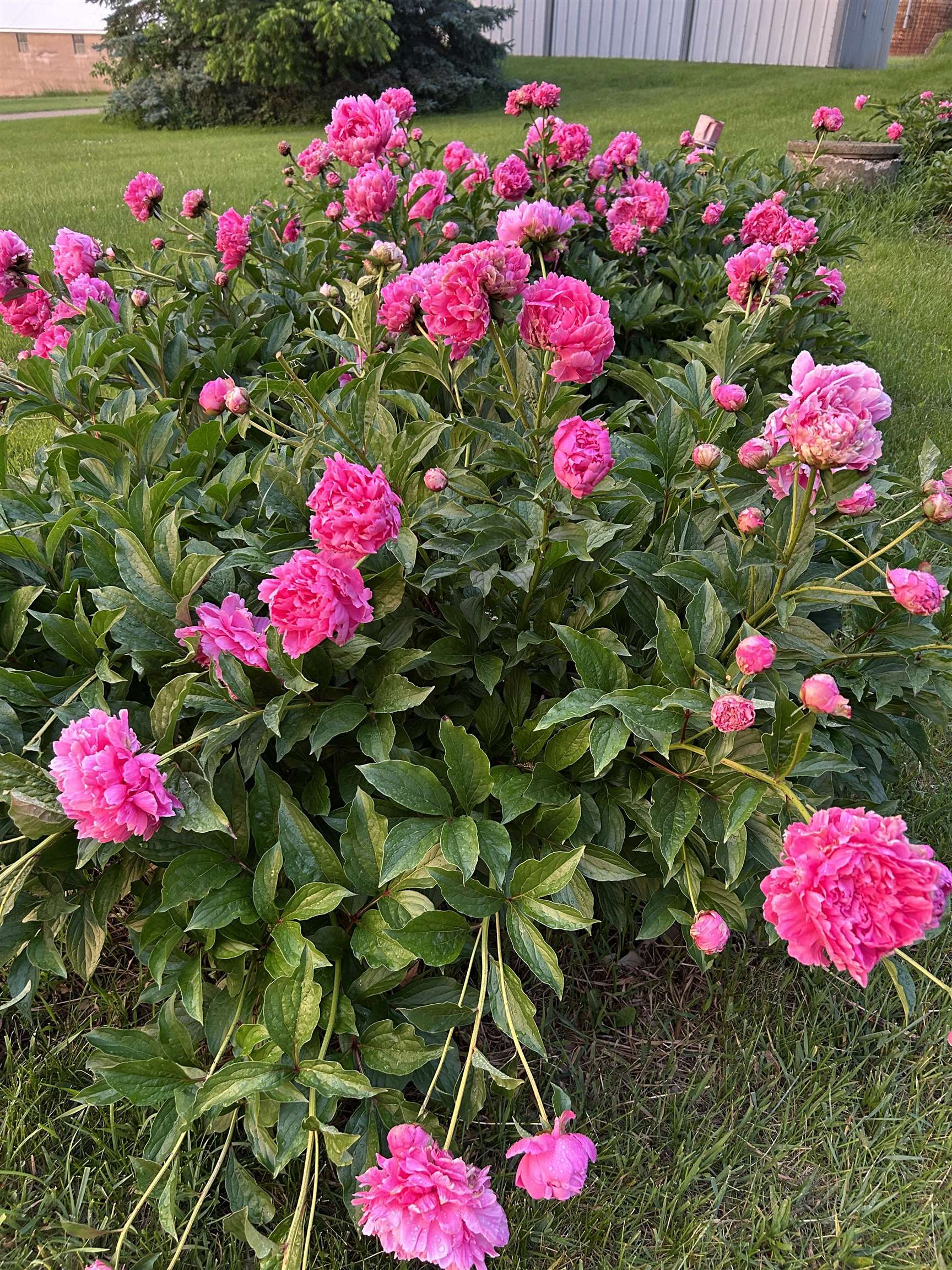 2542 County Rd P Road Verona, WI 53593 - Photo 17 of 103