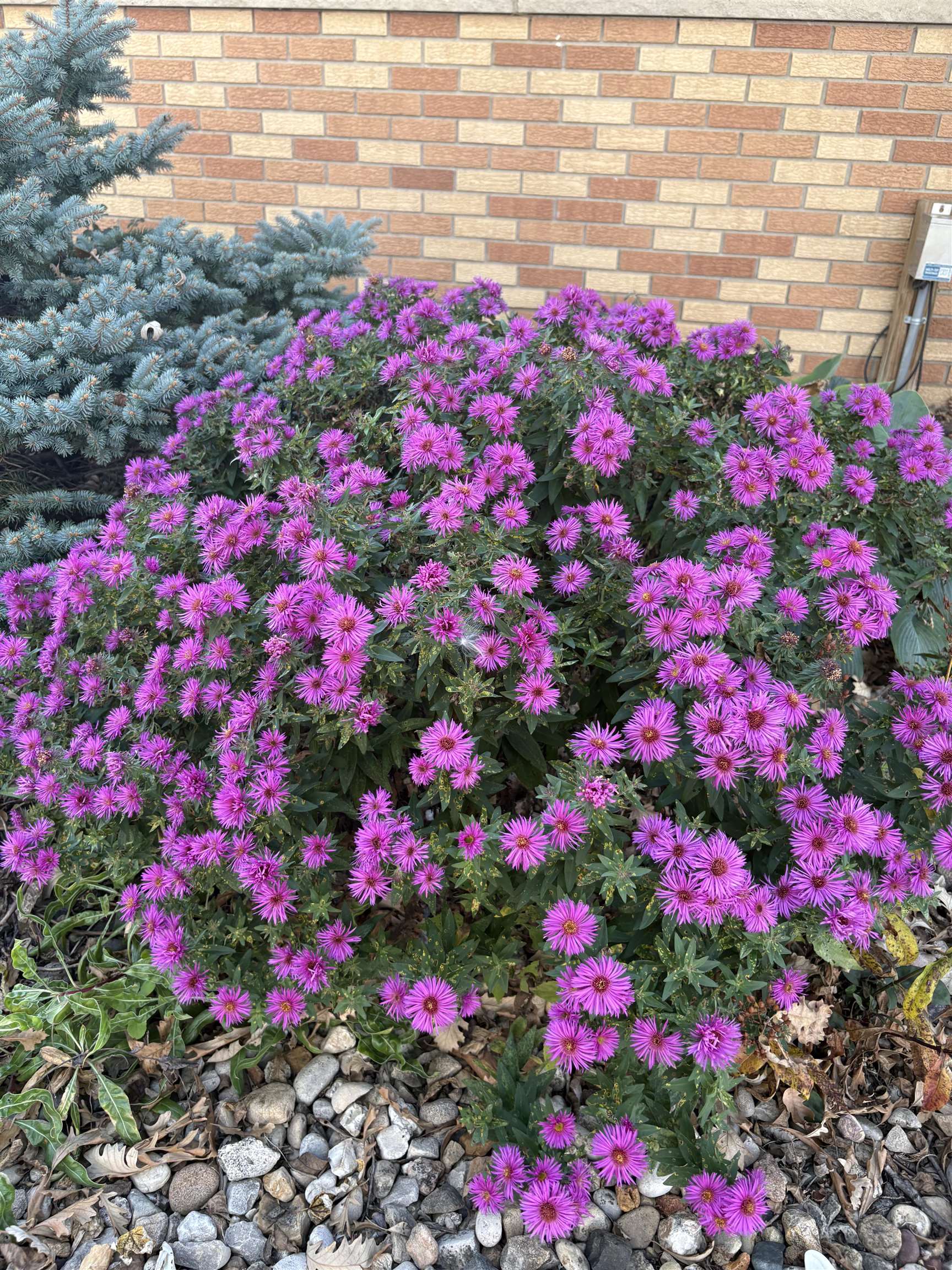 2542 County Rd P Road Verona, WI 53593 - Photo 19 of 103