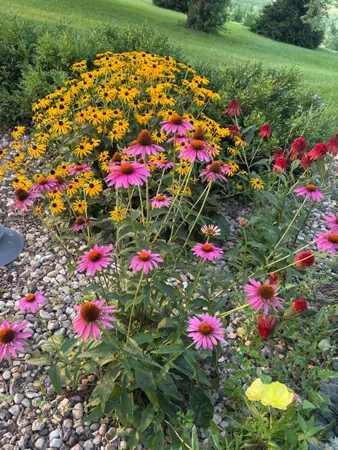 $1,775,000 | 2542 County Rd P Road, Verona, WI 53593