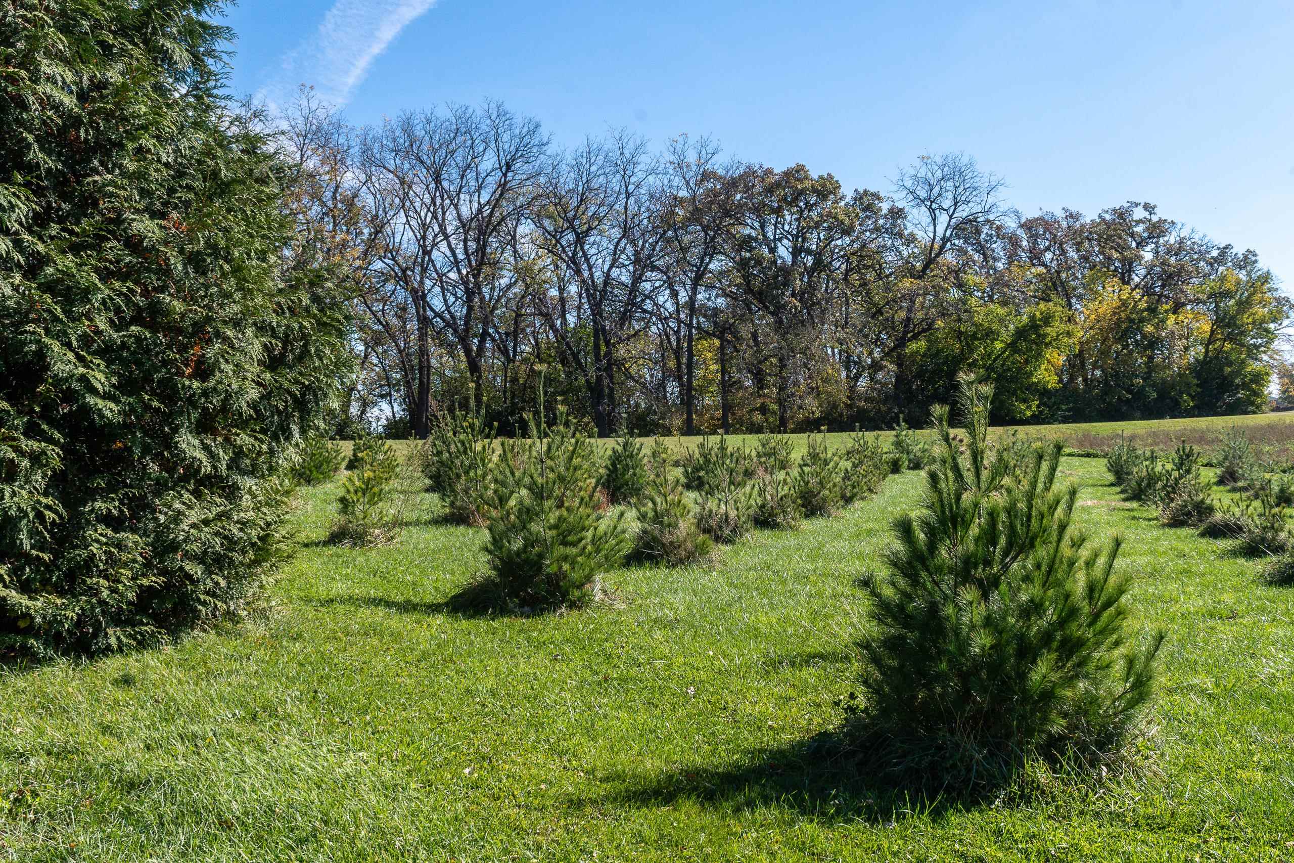 2542 County Rd P Road Verona, WI 53593 - Photo 21 of 103