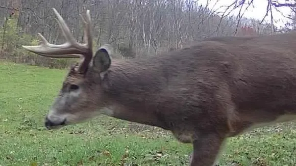 $1,775,000 | 2542 County Rd P Road, Verona, WI 53593