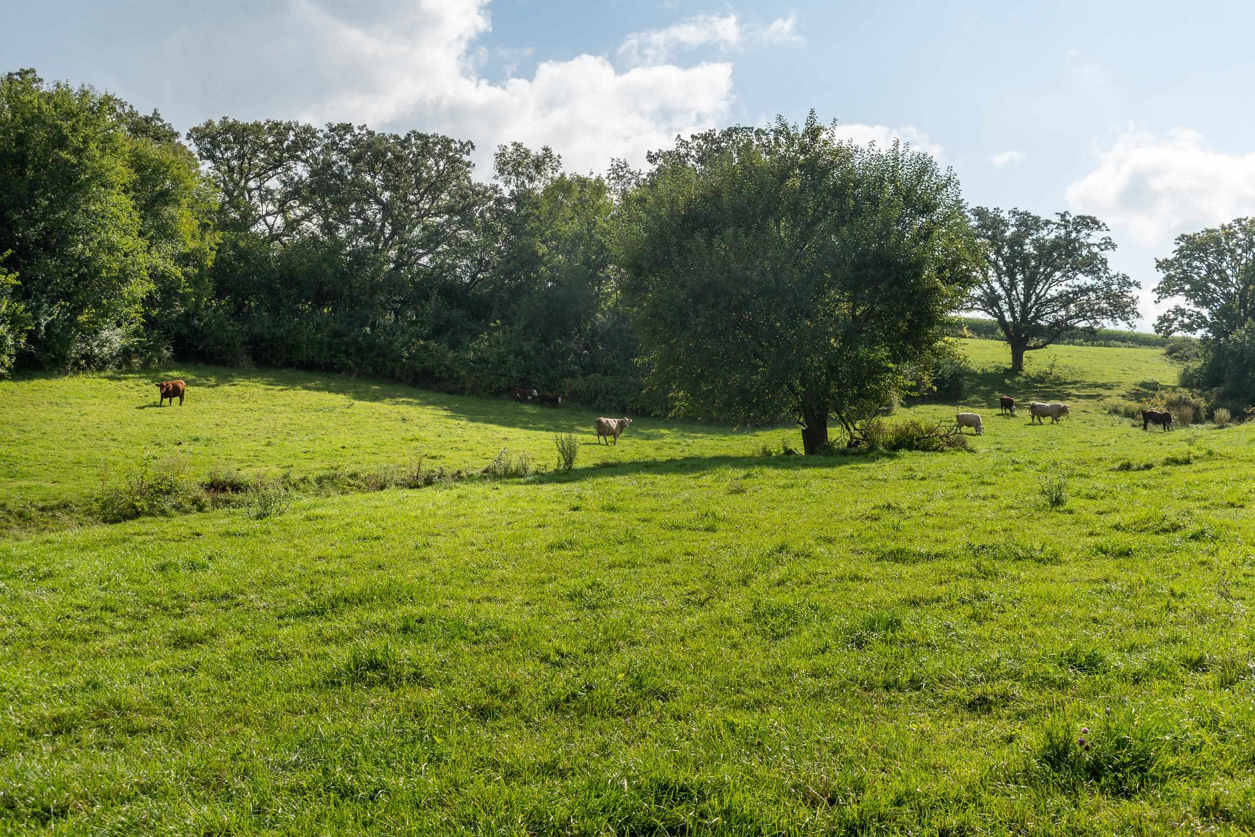2542 County Rd P Road Verona, WI 53593 - Photo 29 of 103
