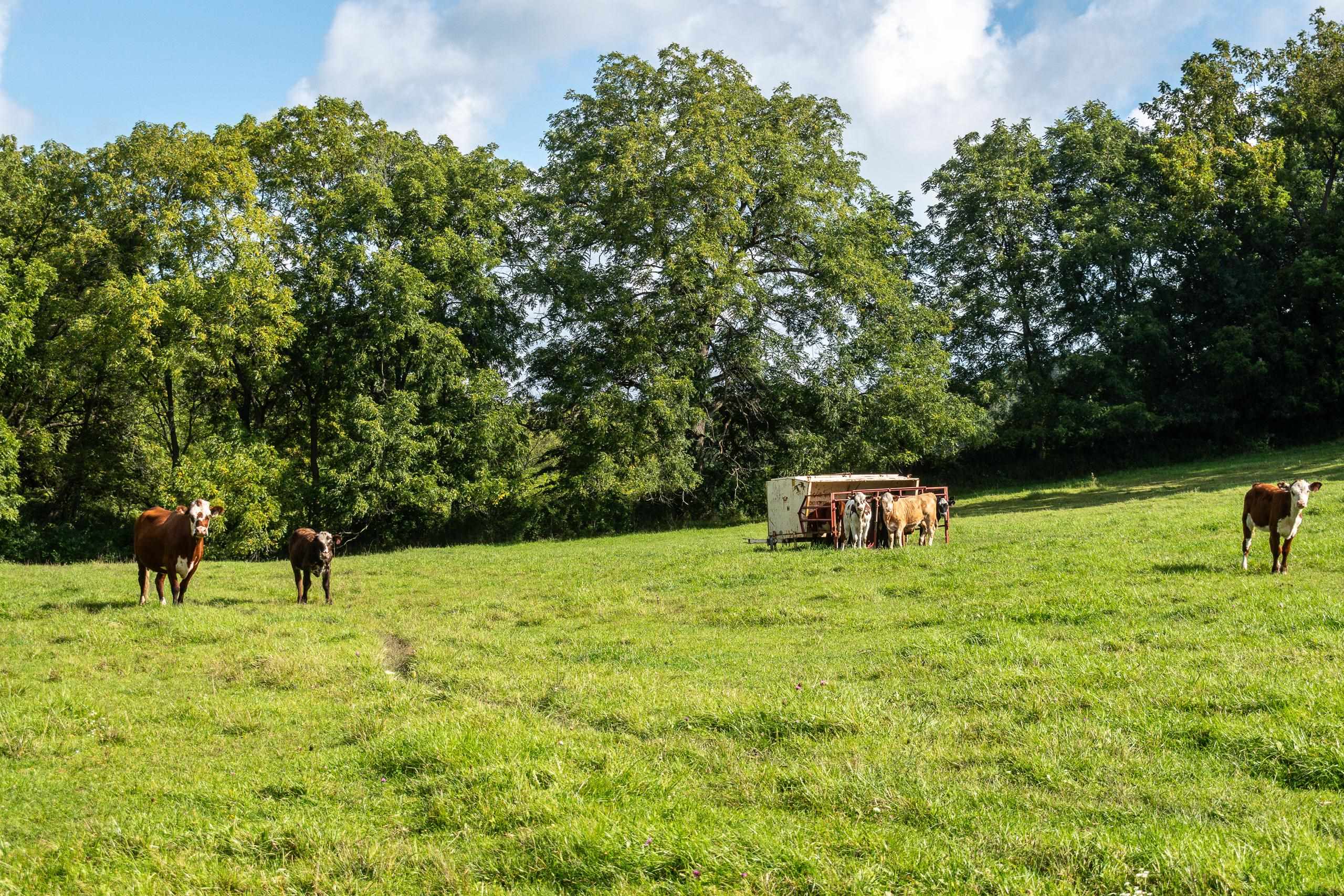 2542 County Rd P Road Verona, WI 53593 - Photo 30 of 103