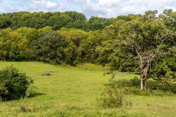 $1,775,000 | 2542 County Rd P Road, Verona, WI 53593