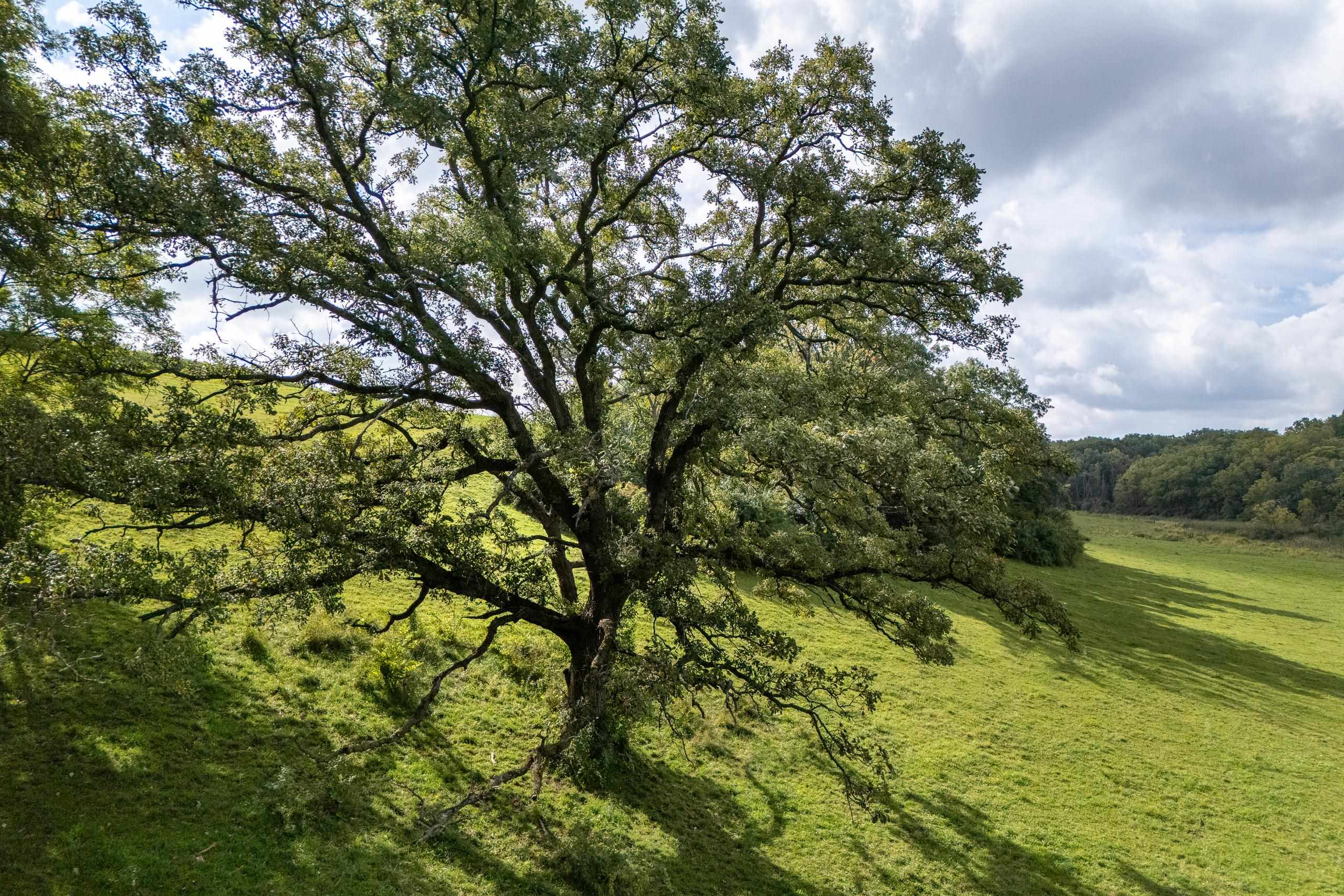 2542 County Rd P Road Verona, WI 53593 - Photo 32 of 103