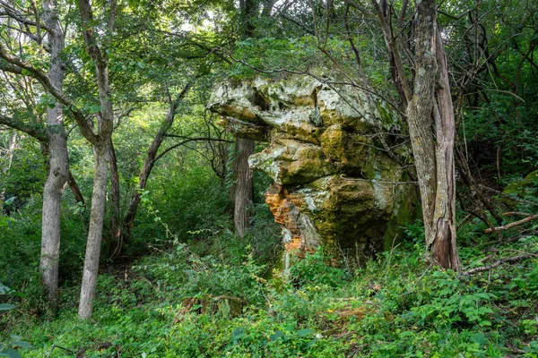 $1,775,000 | 2542 County Rd P Road, Verona, WI 53593