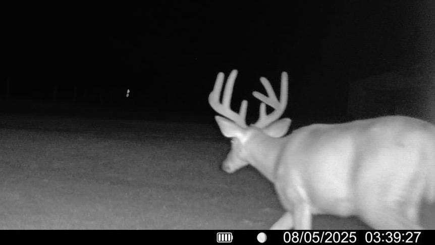 2542 County Rd P Road Verona, WI 53593 - Photo 42 of 103