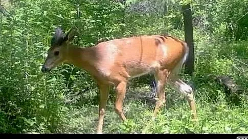 $1,775,000 | 2542 County Rd P Road, Verona, WI 53593