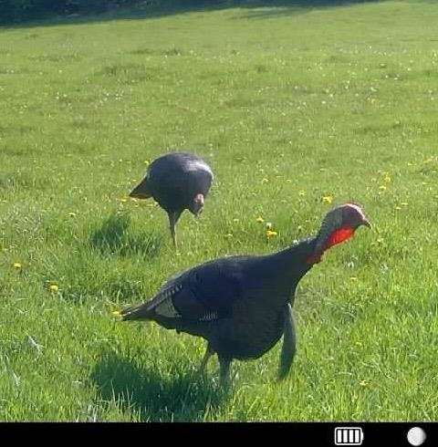 2542 County Rd P Road Verona, WI 53593 - Photo 44 of 103