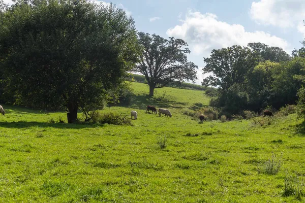 $1,775,000 | 2542 County Rd P Road, Verona, WI 53593