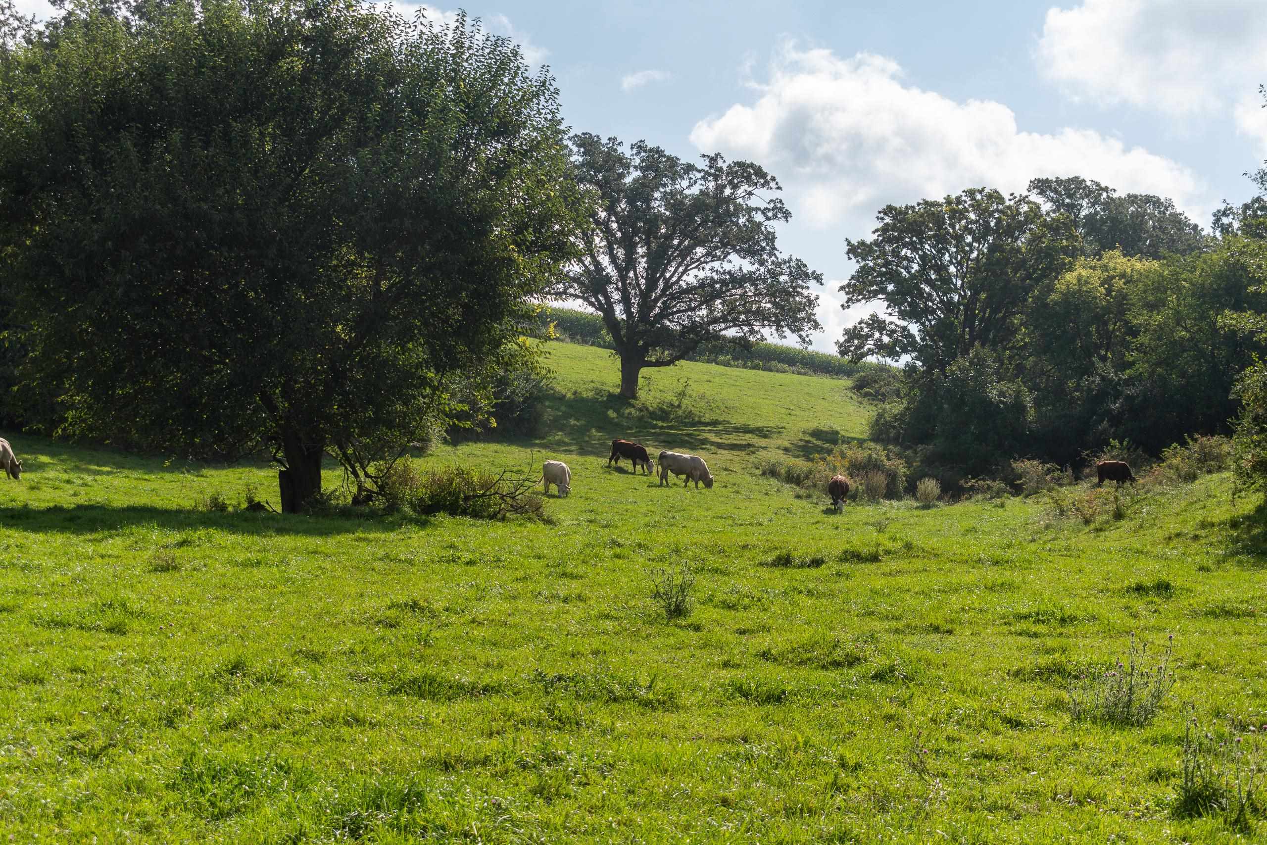 2542 County Rd P Road Verona, WI 53593 - Photo 5 of 103