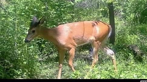 2542 County Rd P Road Verona, WI 53593 - Photo 61 of 89