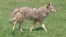 2542 County Rd P Road Verona, WI 53593 - Photo 73 of 89