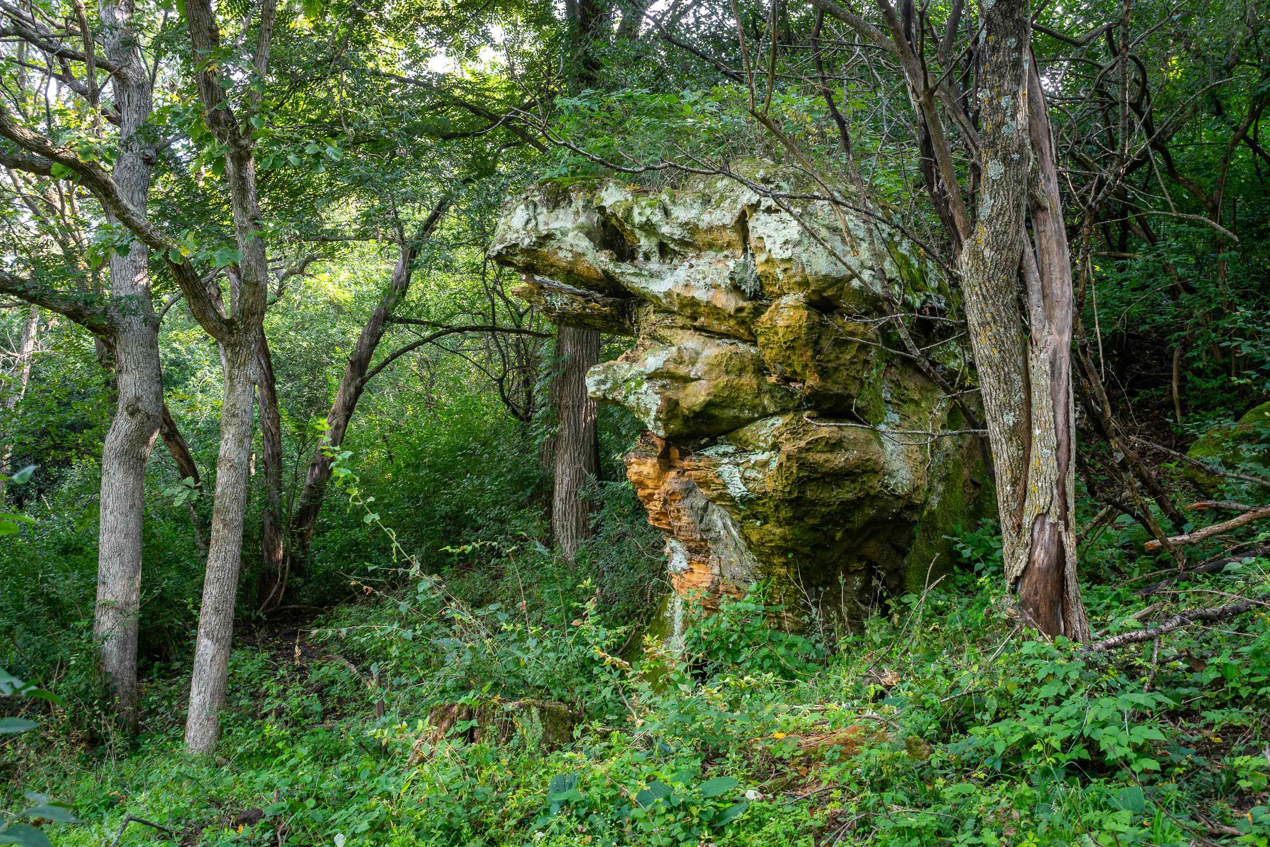 2542 County Rd P Road Verona, WI 53593 - Photo 75 of 89