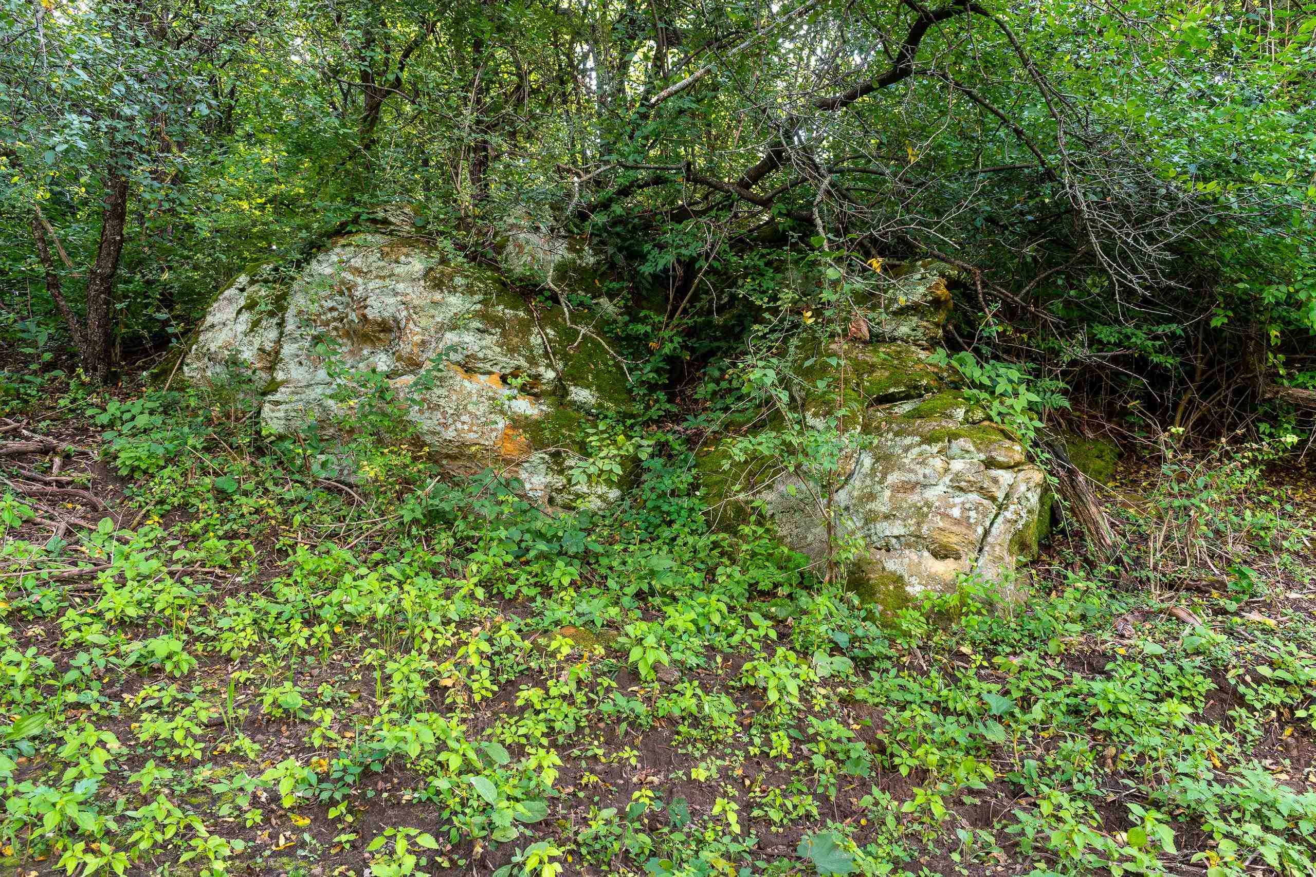 2542 County Rd P Road Verona, WI 53593 - Photo 76 of 89