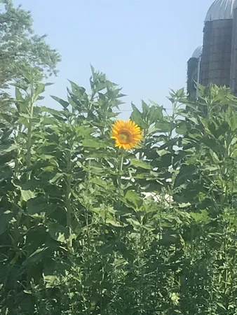 $1,775,000 | 2542 County Rd P Road, Verona, WI 53593