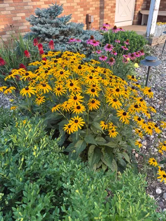 $1,775,000 | 2542 County Rd P Road, Verona, WI 53593