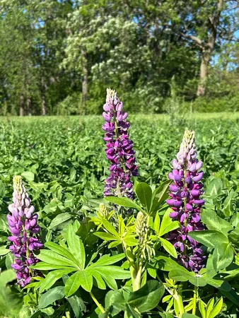 $1,775,000 | 2542 County Rd P Road, Verona, WI 53593