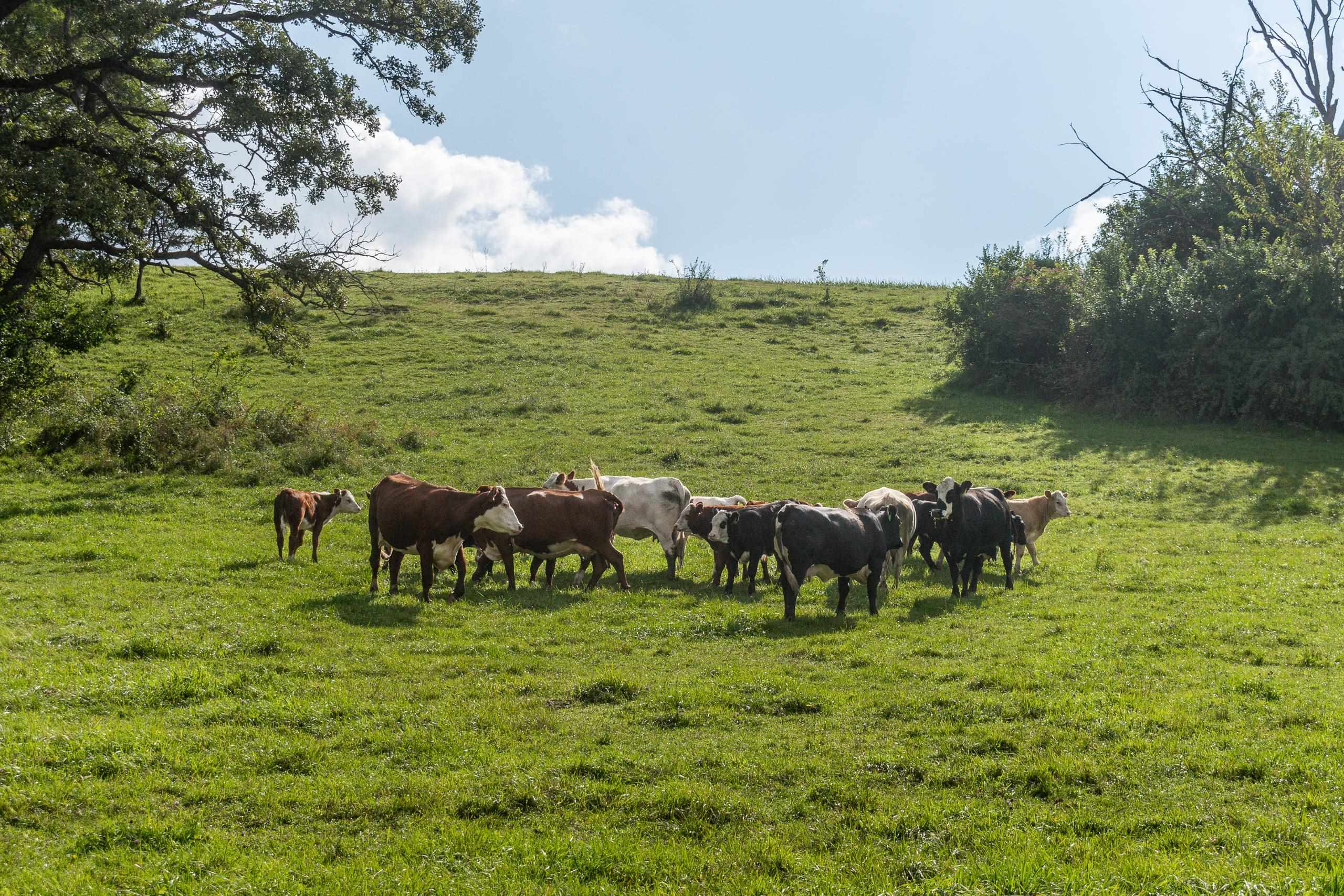 2542 County Rd P Road Verona, WI 53593 - Photo 84 of 89