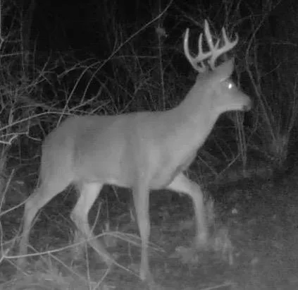 $1,775,000 | 2542 County Rd P Road, Verona, WI 53593