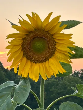 $1,775,000 | 2542 County Rd P Road, Verona, WI 53593