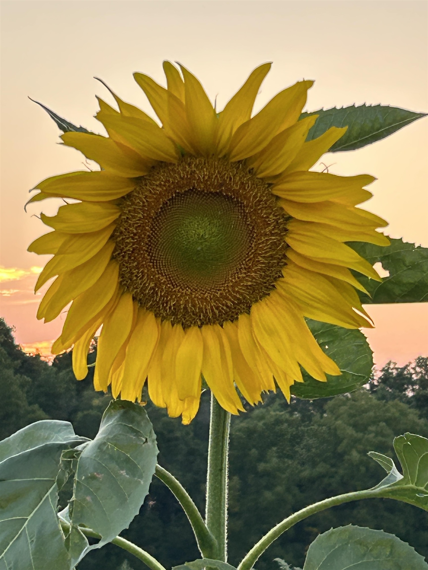 2542 County Rd P Road Verona, WI 53593 - Photo 89 of 103