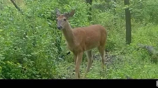 $1,775,000 | 2542 County Rd P Road, Verona, WI 53593