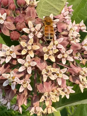 $1,775,000 | 2542 County Rd P Road, Verona, WI 53593