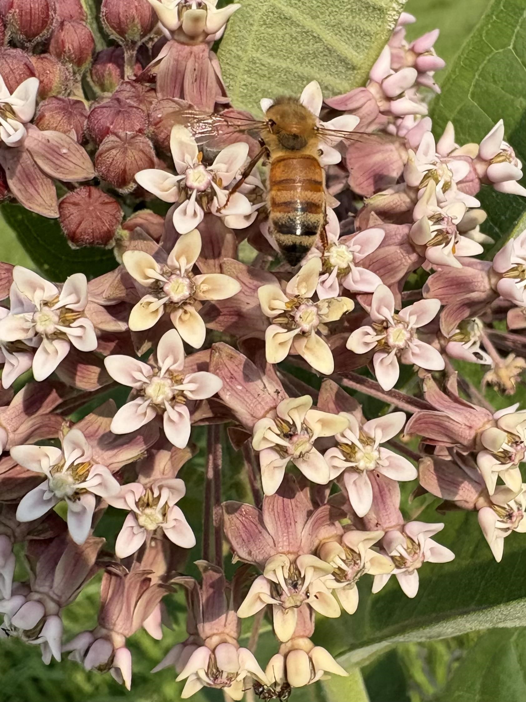 2542 County Rd P Road Verona, WI 53593 - Photo 93 of 103