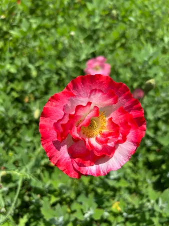 $1,775,000 | 2542 County Rd P Road, Verona, WI 53593