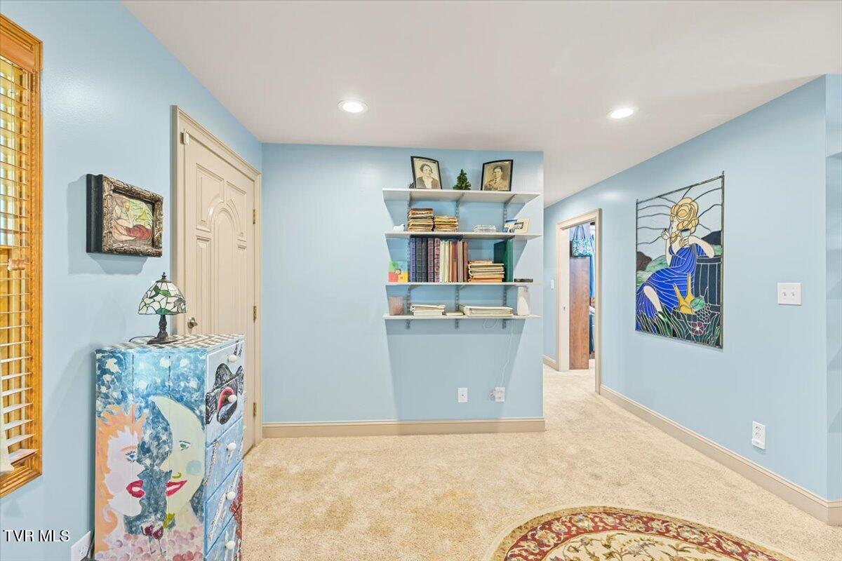 112 Spruce Street Greeneville, TN 37745 - Photo 70 of 102 078-128A8677