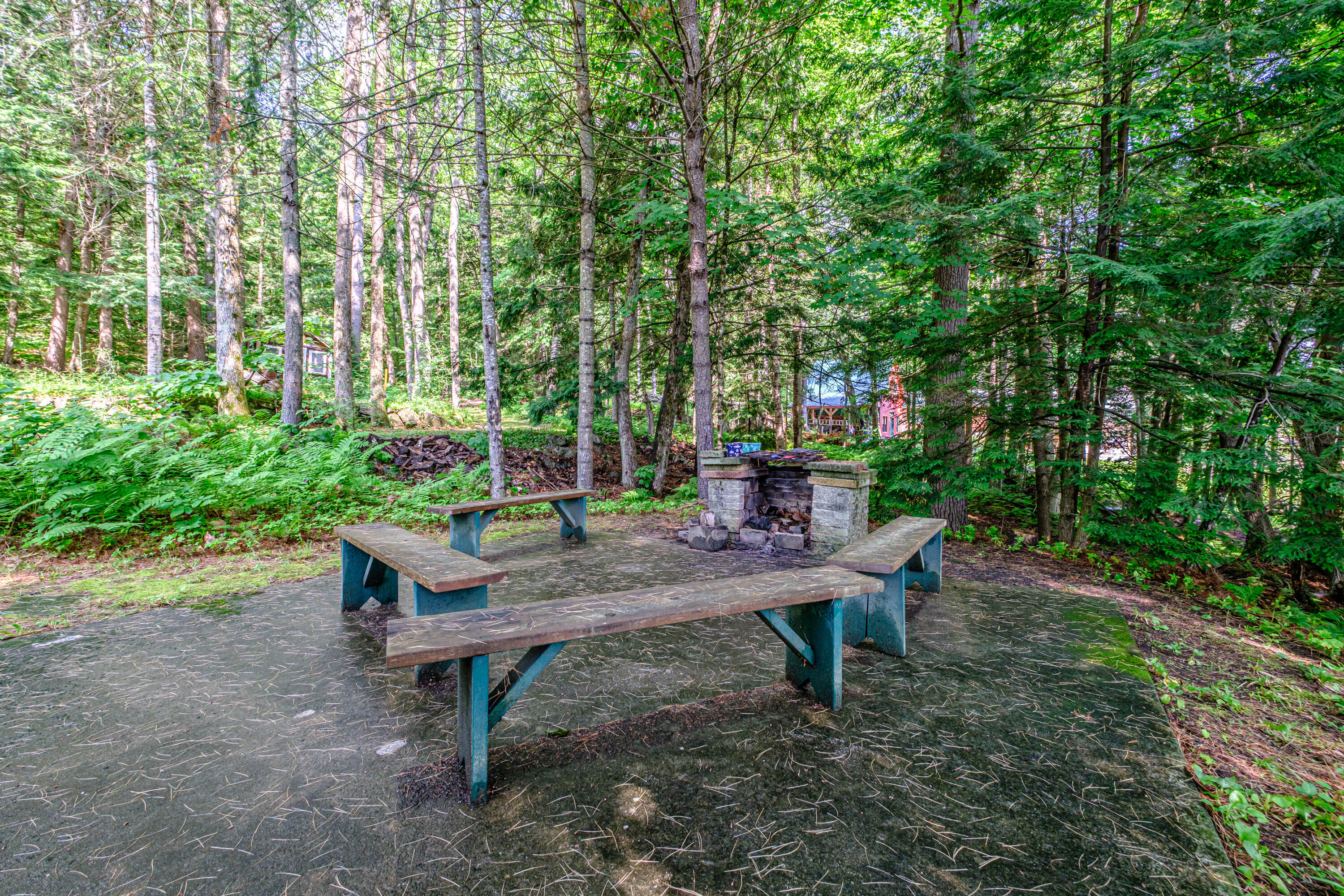 28 Pine Tree Road Waterford, ME 04088 - Photo 6 of 94 20260701gp-60025