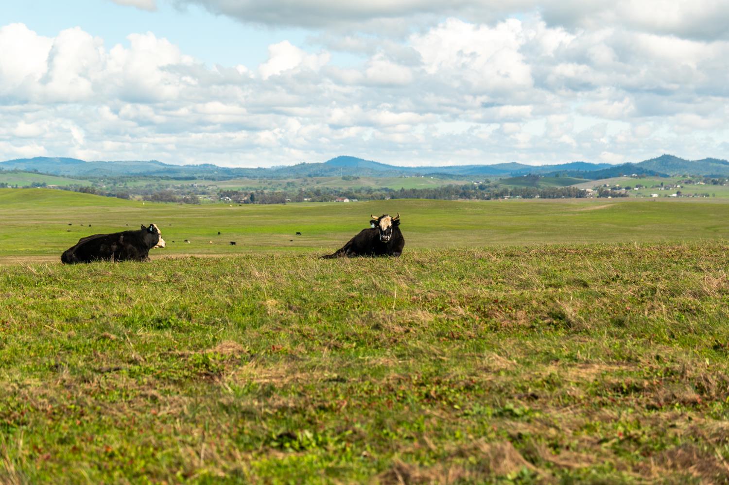 4873 Gladding Road Lincoln, CA 95648 - Photo 11 of 37