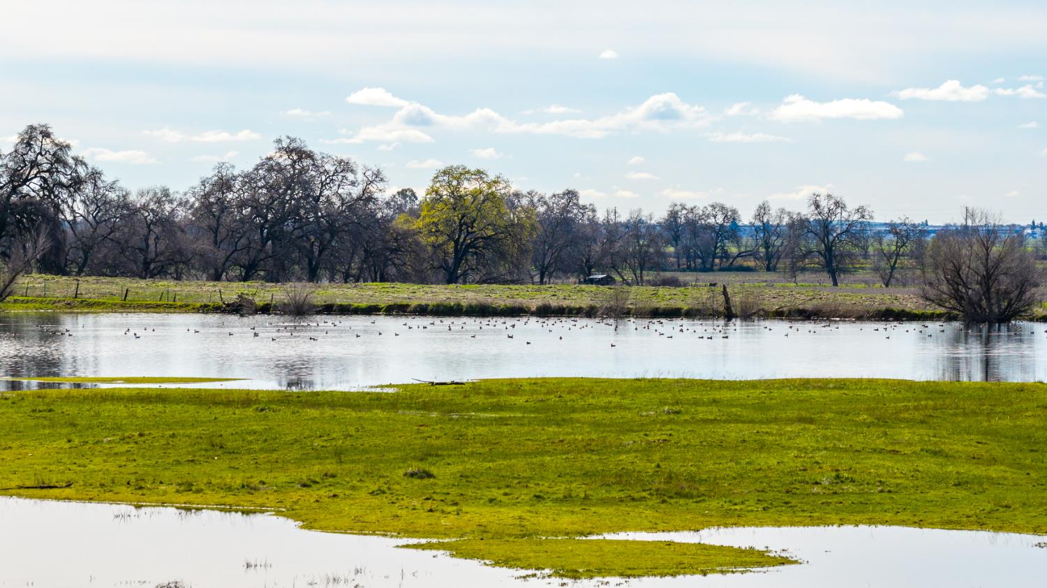 4873 Gladding Road Lincoln, CA 95648 - Photo 15 of 37