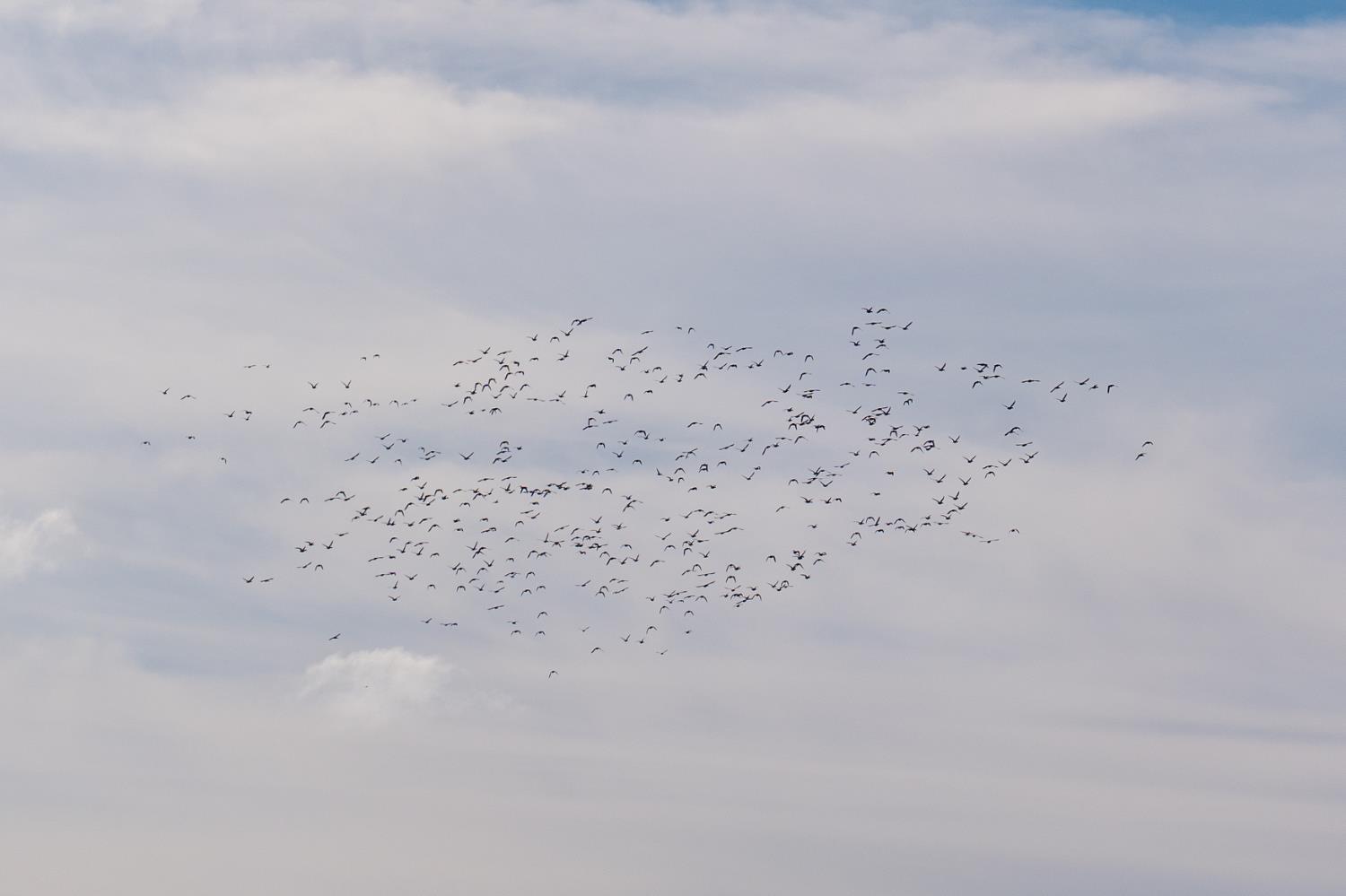 4873 Gladding Road Lincoln, CA 95648 - Photo 16 of 37