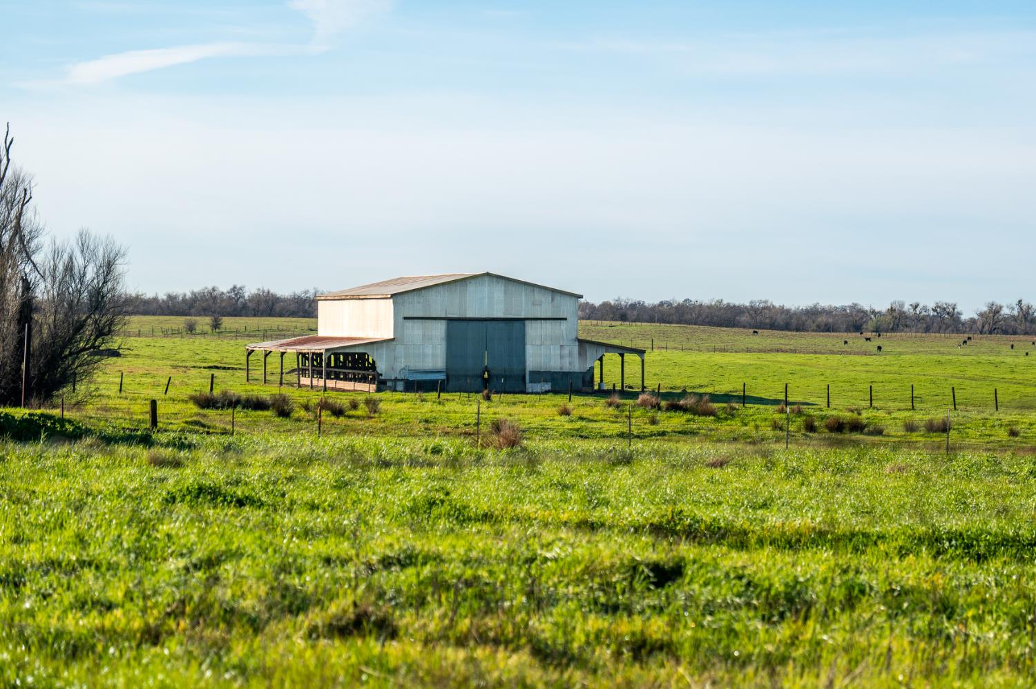4873 Gladding Road Lincoln, CA 95648 - Photo 18 of 37